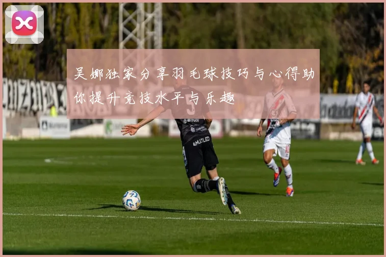 吴娜独家分享羽毛球技巧与心得助你提升竞技水平与乐趣