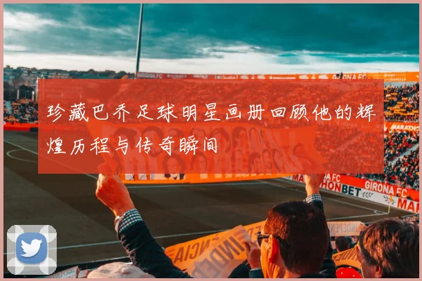 珍藏巴乔足球明星画册回顾他的辉煌历程与传奇瞬间