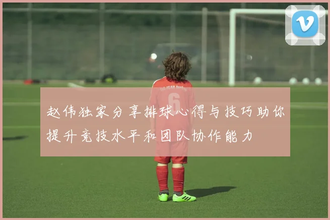 赵伟独家分享排球心得与技巧助你提升竞技水平和团队协作能力