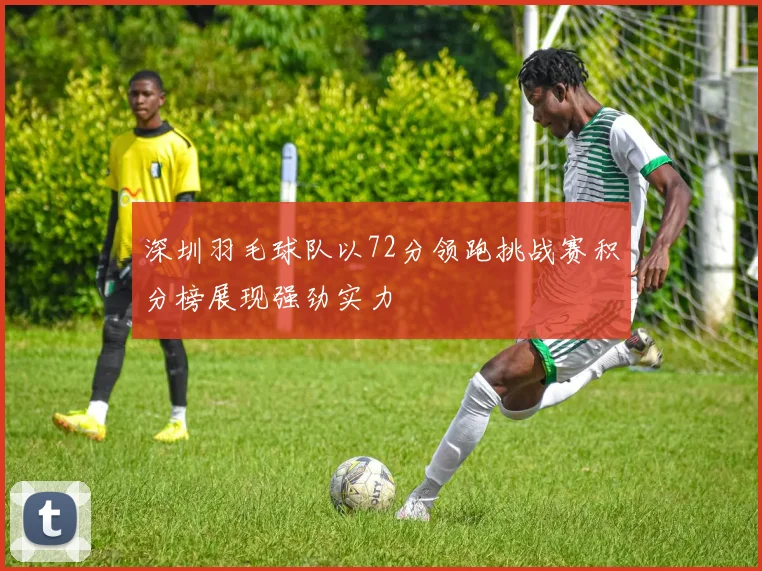深圳羽毛球队以72分领跑挑战赛积分榜展现强劲实力
