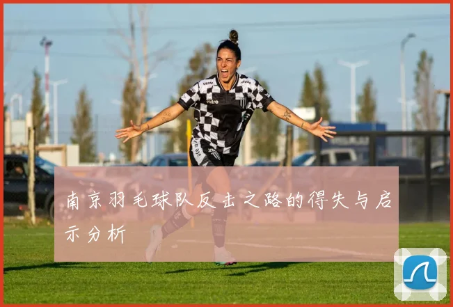 南京羽毛球队反击之路的得失与启示分析