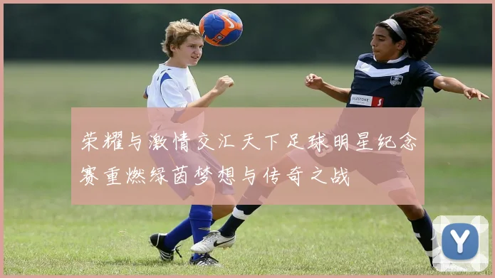 荣耀与激情交汇天下足球明星纪念赛重燃绿茵梦想与传奇之战