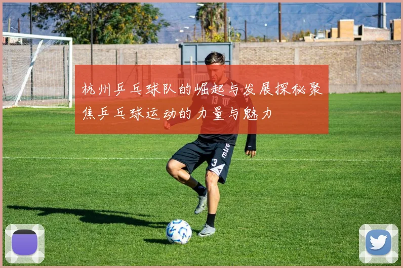 杭州乒乓球队的崛起与发展探秘聚焦乒乓球运动的力量与魅力