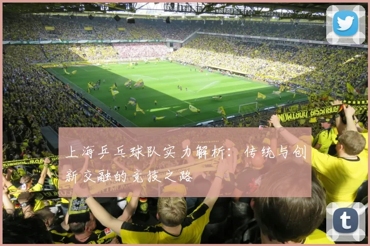上海乒乓球队实力解析：传统与创新交融的竞技之路