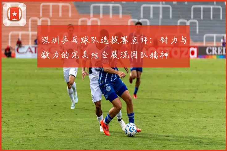 深圳乒乓球队选拔赛点评：耐力与毅力的完美结合展现团队精神