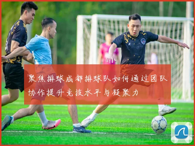 聚焦排球成都排球队如何通过团队协作提升竞技水平与凝聚力