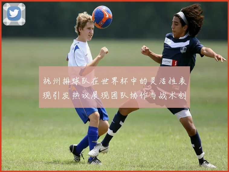 杭州排球队在世界杯中的灵活性表现引发热议展现团队协作与战术创新