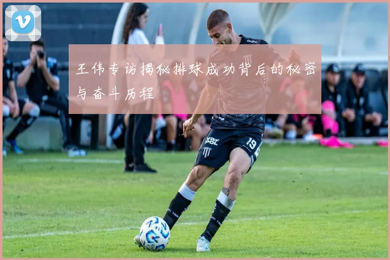 王伟专访揭秘排球成功背后的秘密与奋斗历程