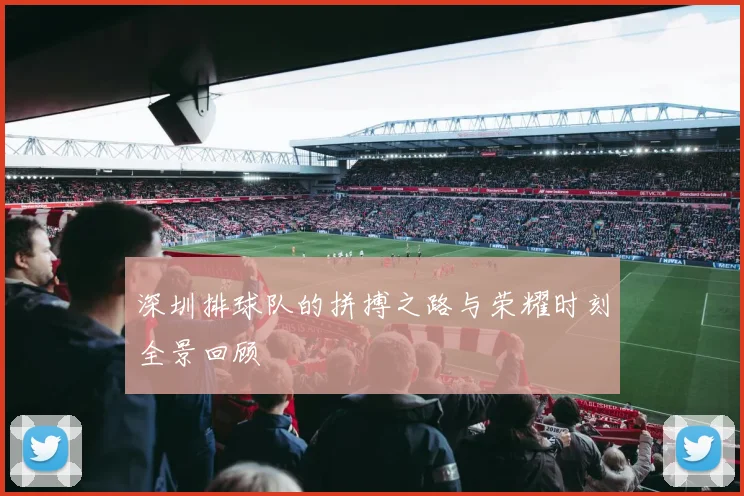 深圳排球队的拼搏之路与荣耀时刻全景回顾