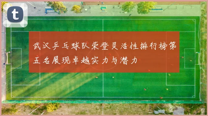 武汉乒乓球队荣登灵活性排行榜第五名展现卓越实力与潜力