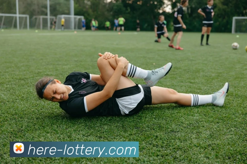 大乐透平台生态图